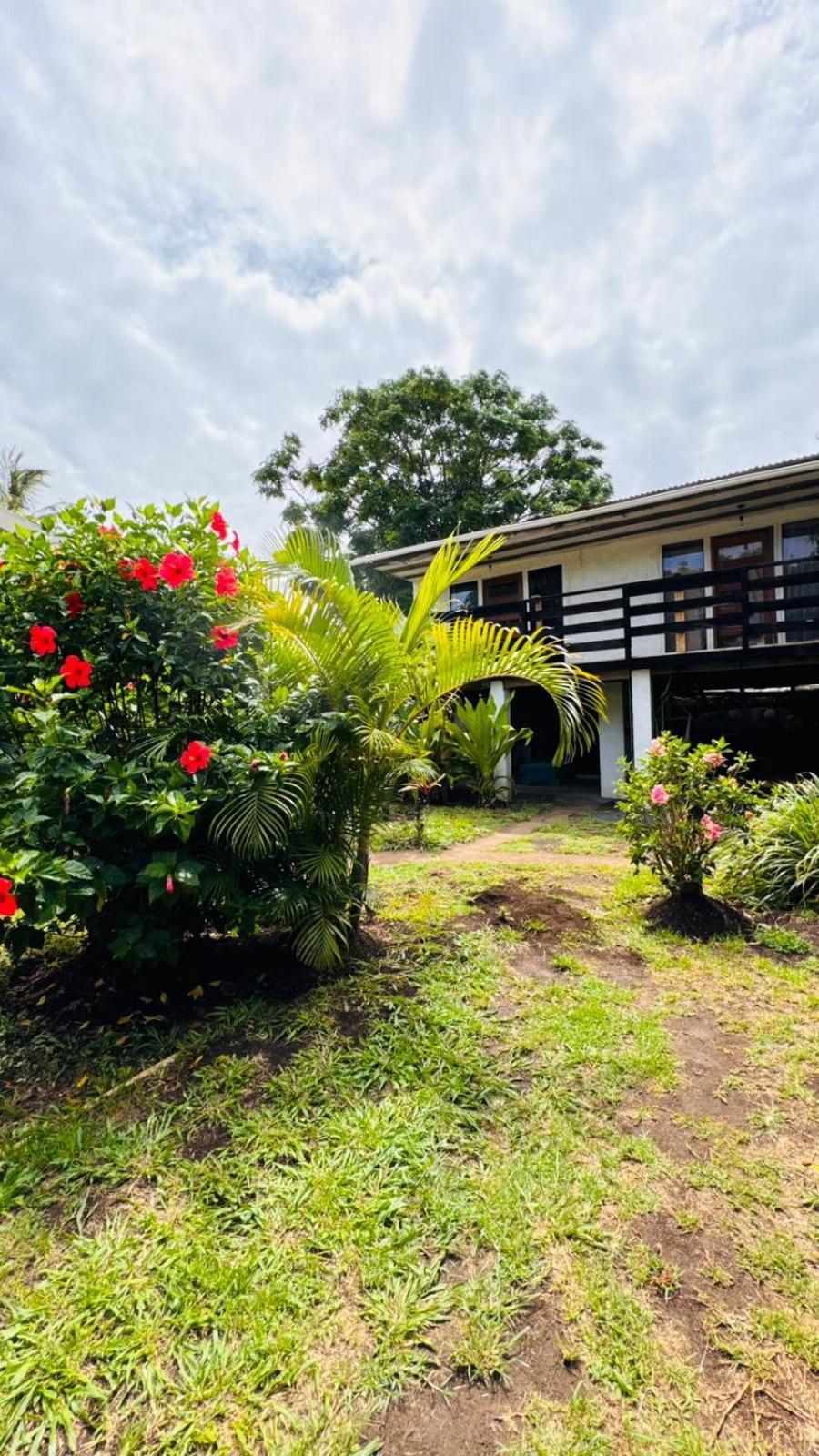 Mata Nui Eco Hostel อังกาโรอา ภายนอก รูปภาพ