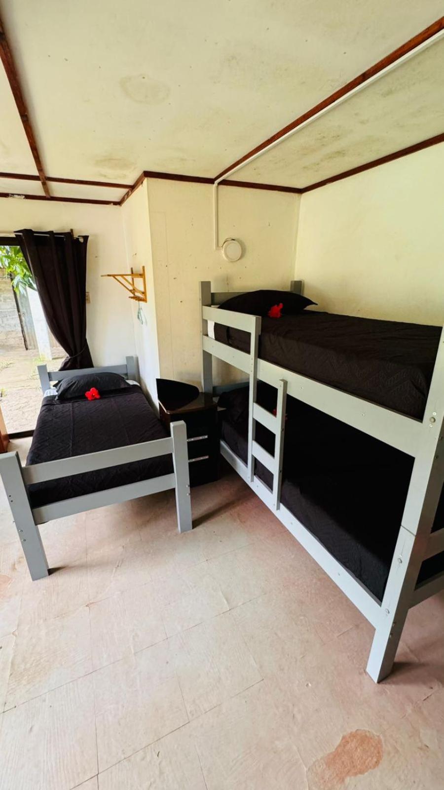 Mata Nui Eco Hostel อังกาโรอา ภายนอก รูปภาพ